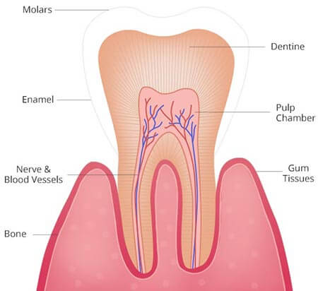 what-is-tooth-sensitivity